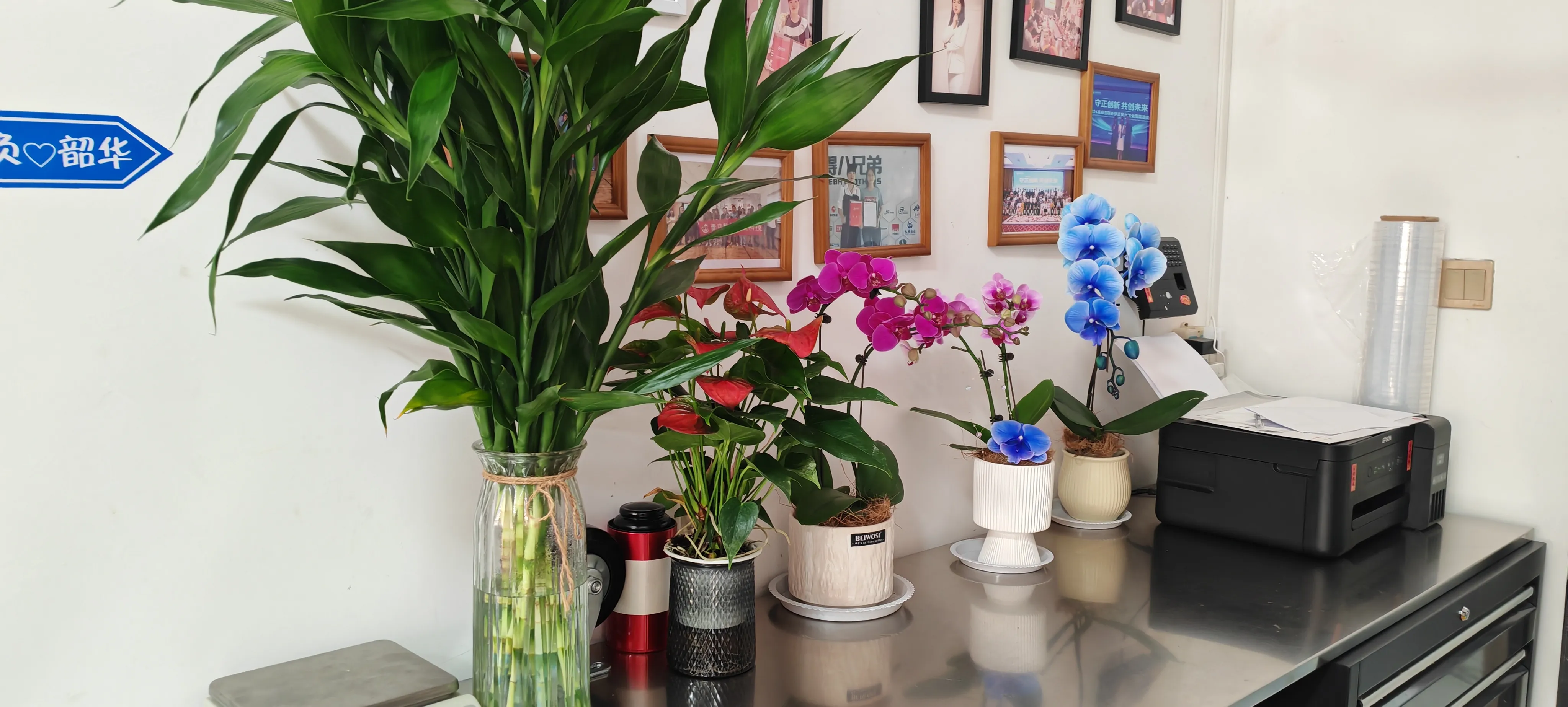 به دوستان جدید JOJO Pack خوش آمدید!