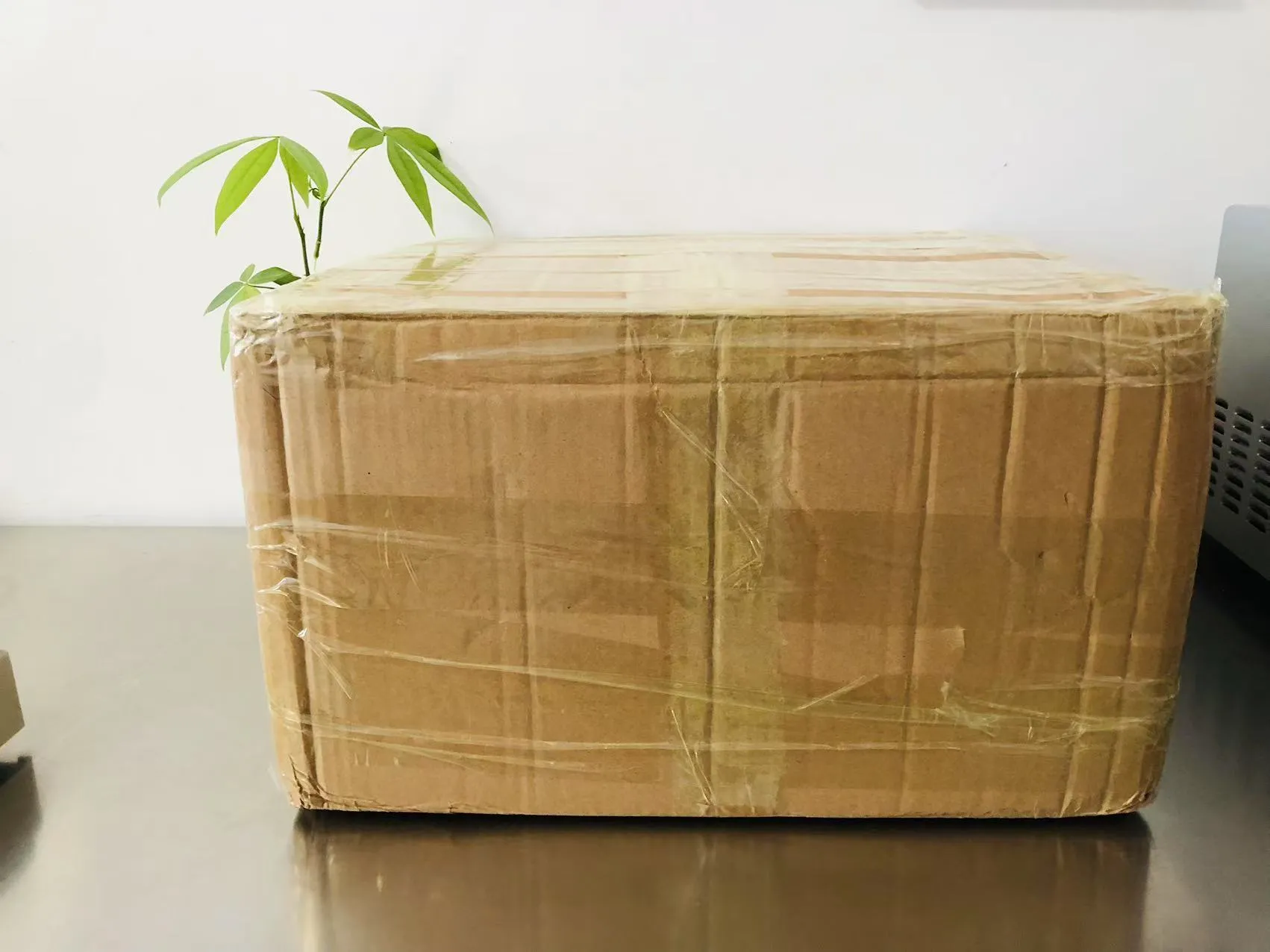 برچسب های اپوکسی جامد کارتونی اکنون در راه ژاپن